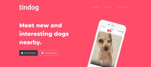 TinDog Website